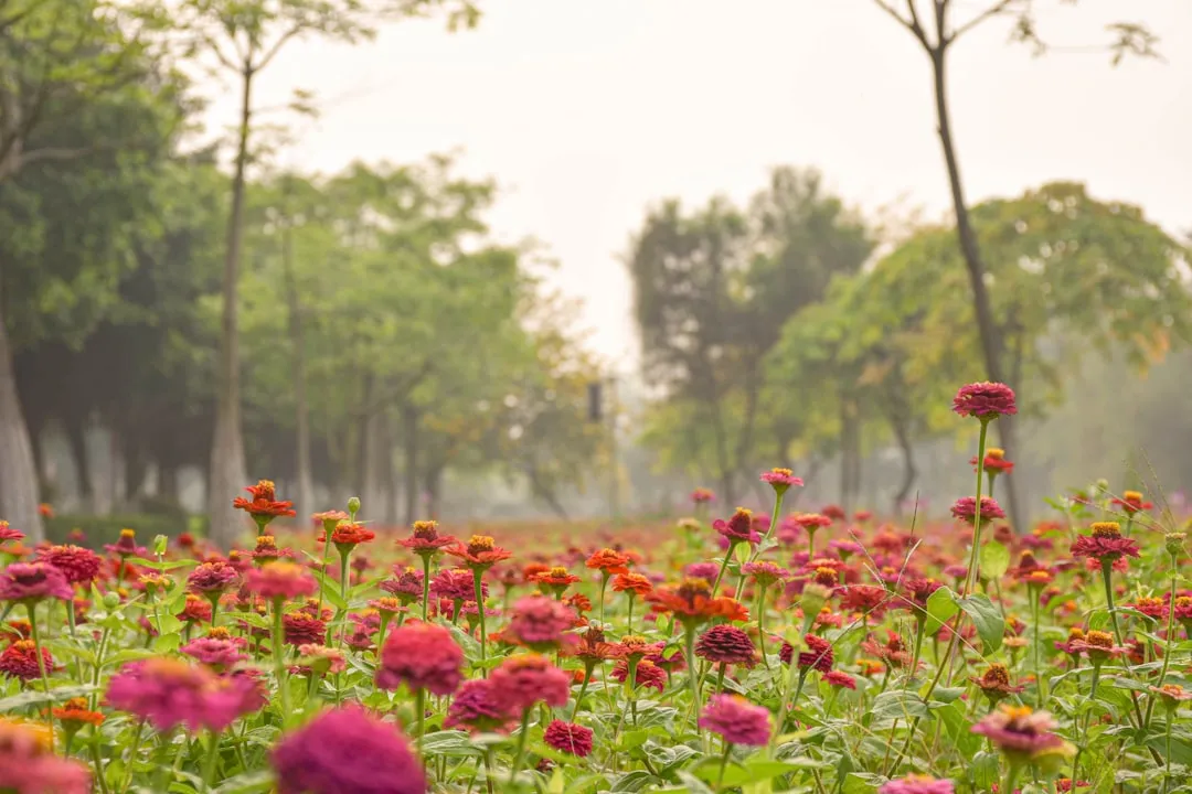 从选材到安装:标识标牌制作工艺全流程质量管控指南